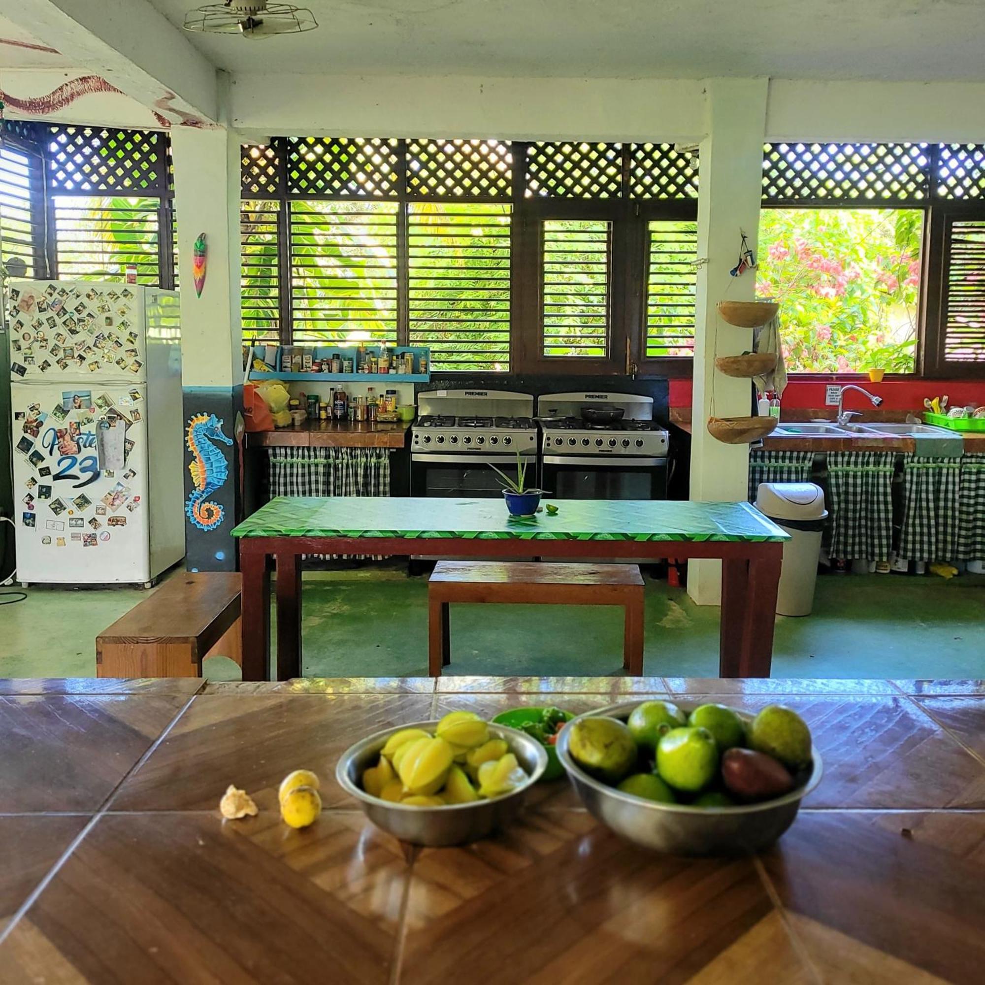 Hostel 23 Las Terrenas Eksteriør billede